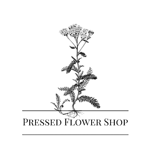 Pressed Flower Shop