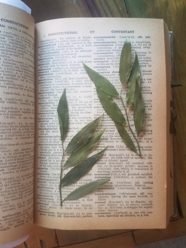 vintage dictionary with papery pages for flower pressing the best materials for pressing flowers