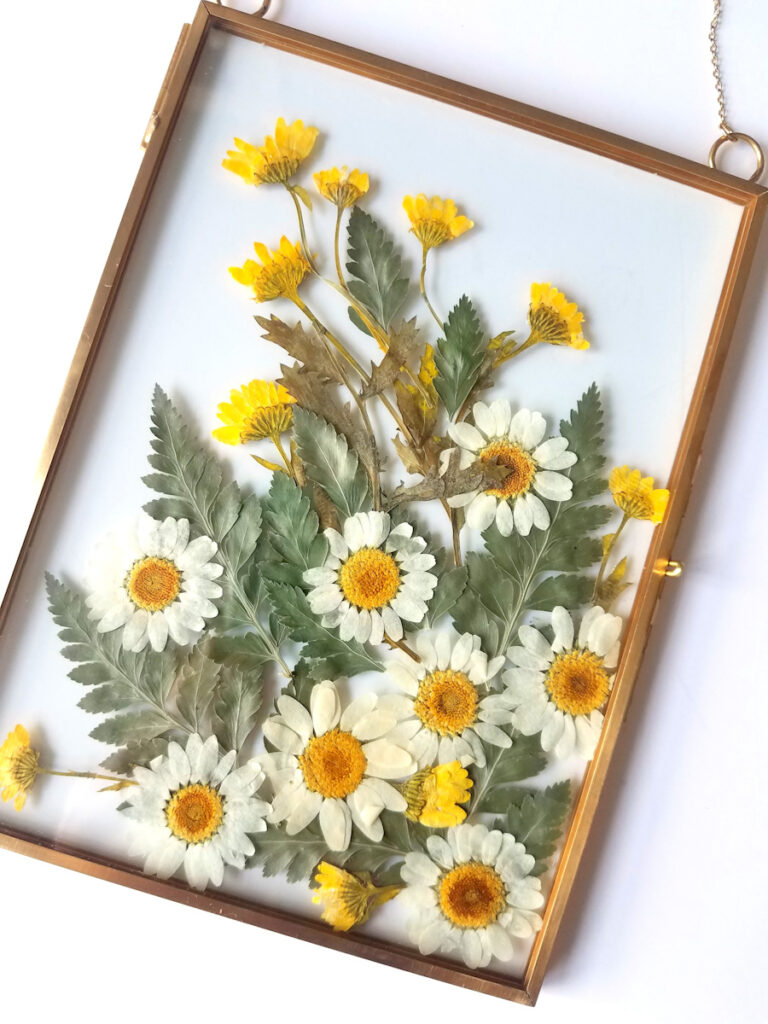 Pressed greenery and flowers including daisies and leather leaf fern